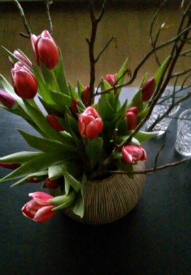 røde tulipaner