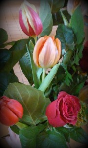 tulipaner med een rose