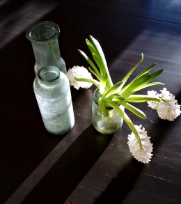 hyacinter der lever deres eget vilde liv