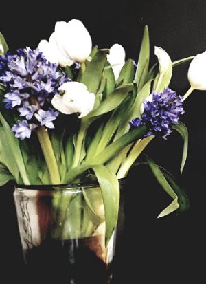 tulipaner og hyacinter i fuldt flor